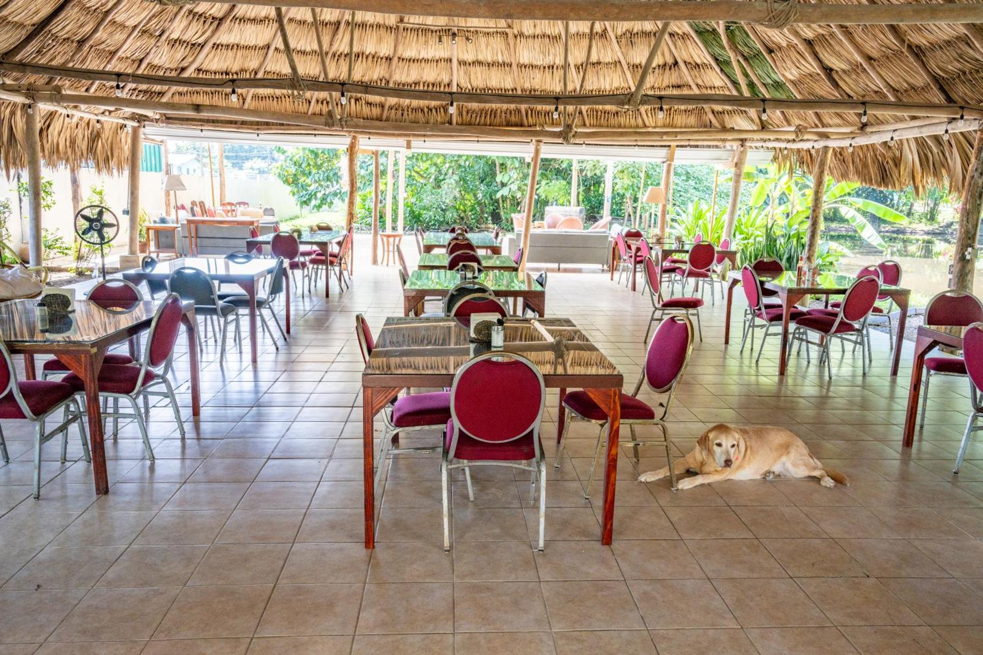 Drift Inn Cayo Santa Elena Zewnętrze zdjęcie